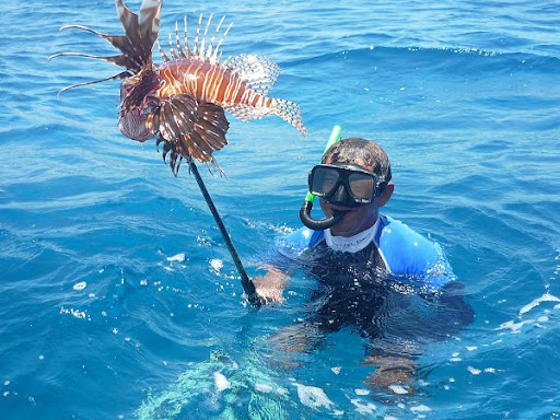 INA invita al Gran Torneo de Captura de Pez León – Panorama Digital ...