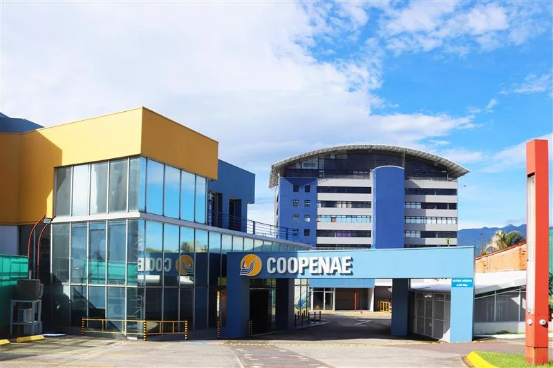 Sondeo desarrollado por Coopenae- Wink ofrece radiografía sobre cómo administran sus finanzas las nuevas generaciones